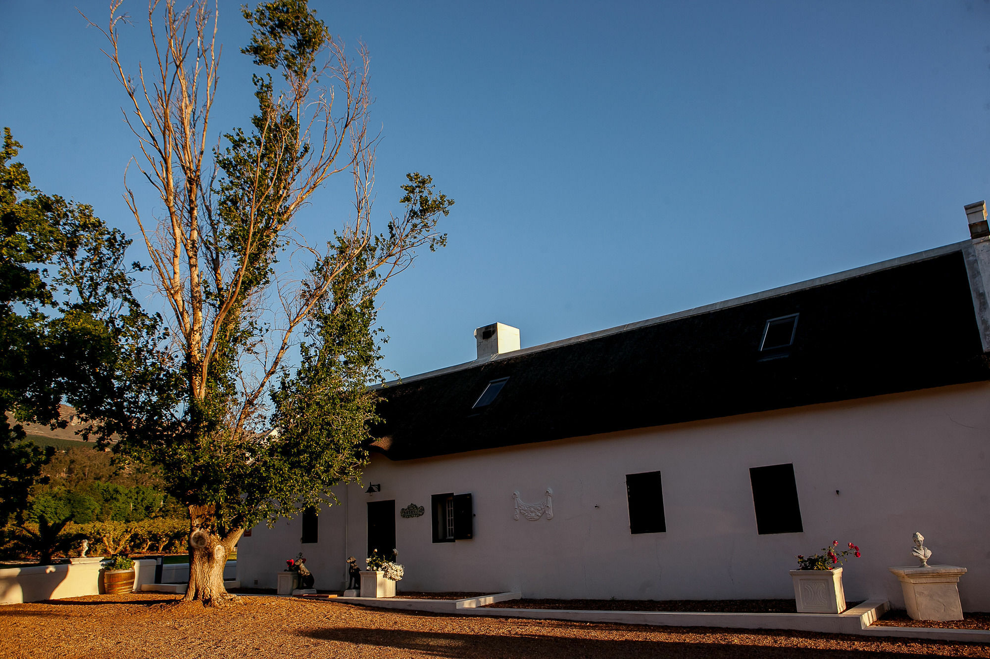1692 De Kleijne Bos Country House Paarl Exterior photo